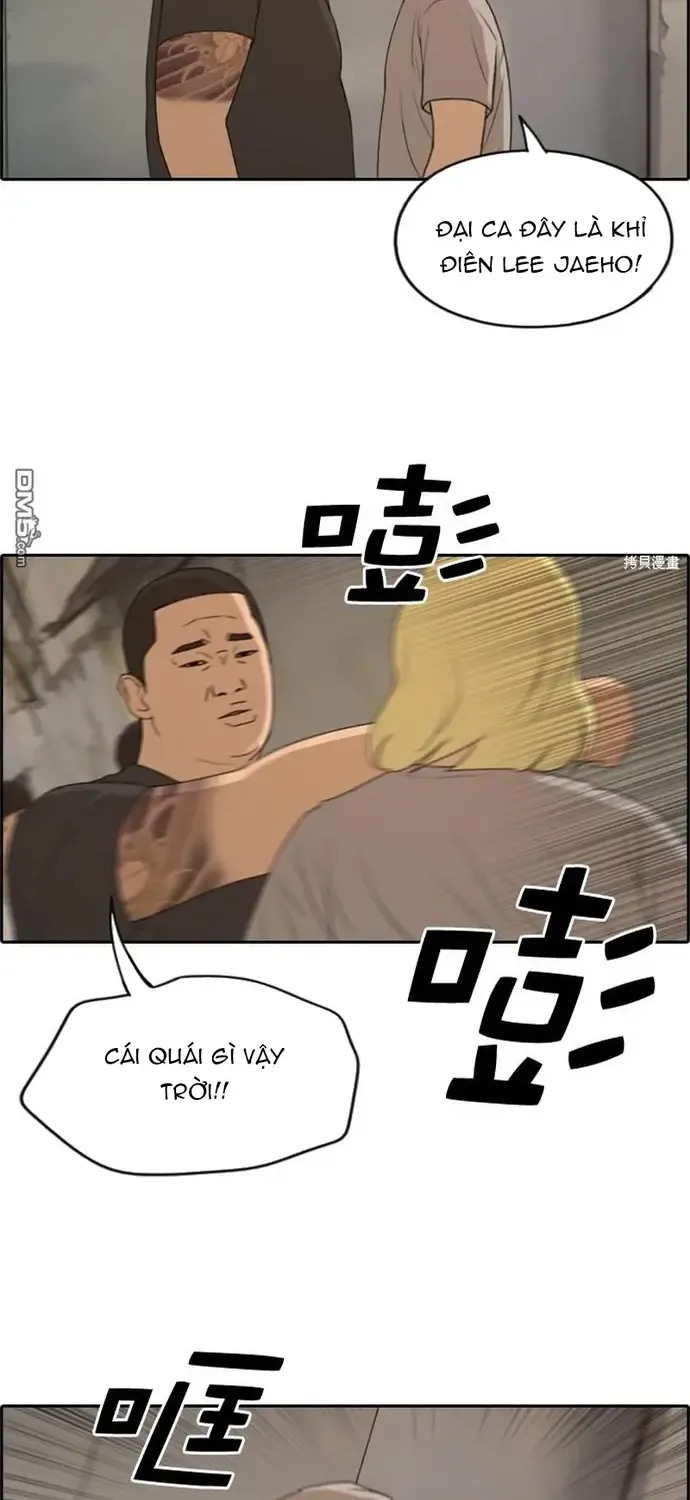 Chapter 231