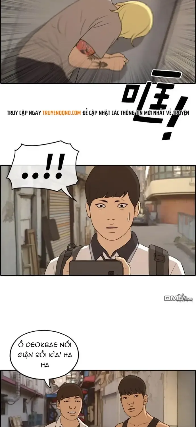 Chapter 231