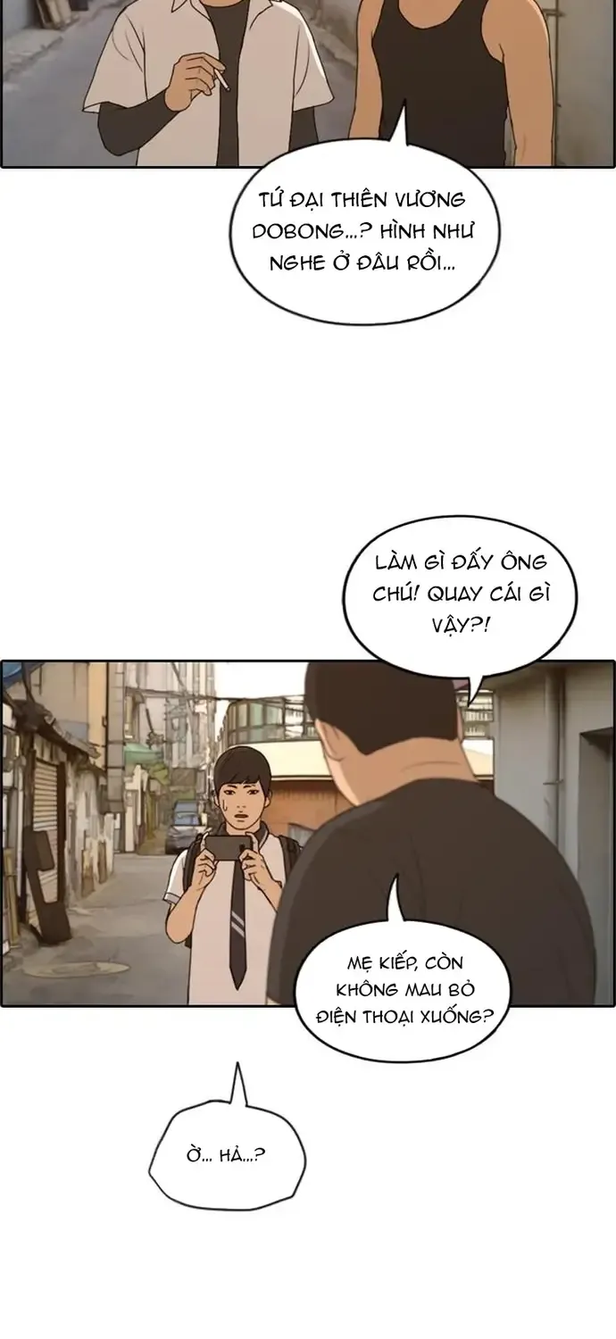 Chapter 231