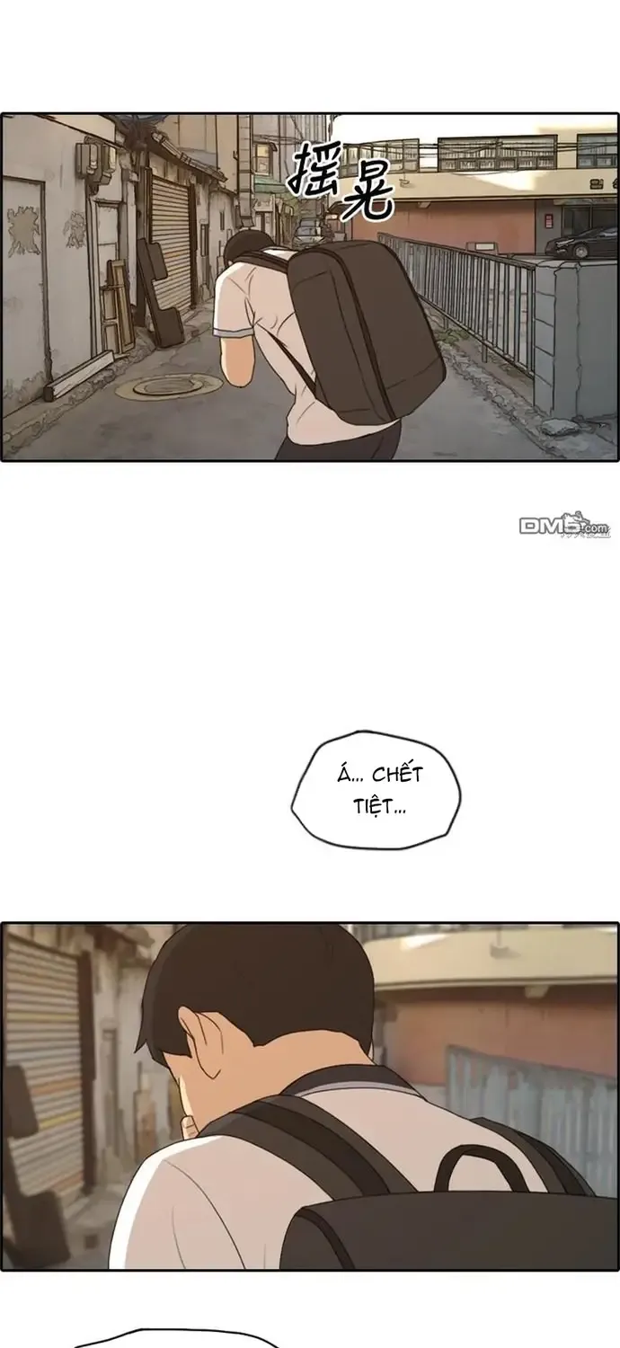 Chapter 231