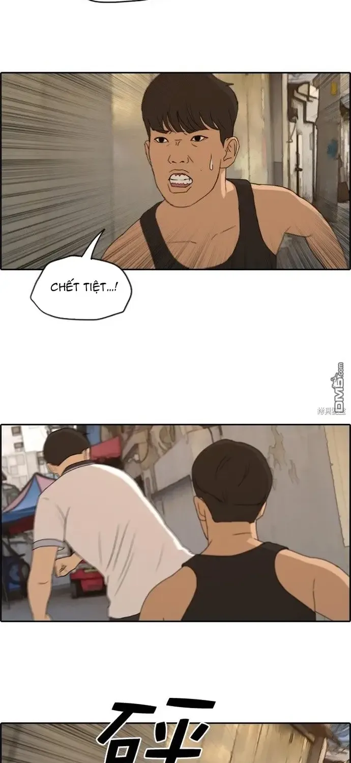 Chapter 232
