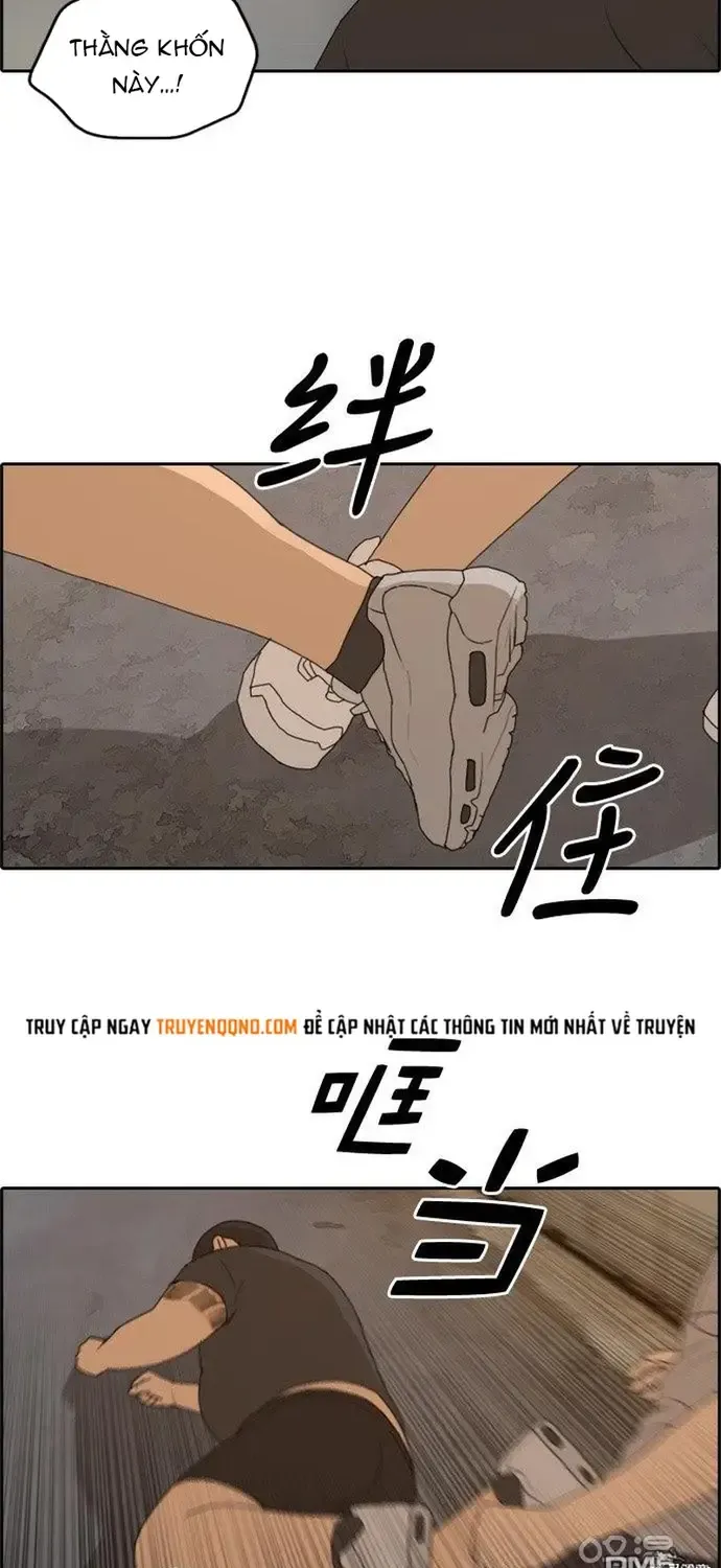 Chapter 232