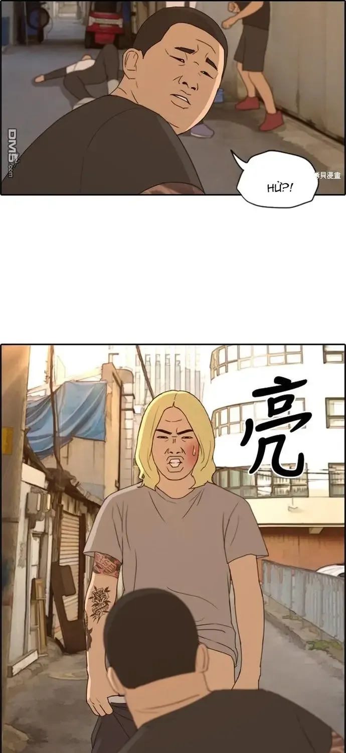 Chapter 232