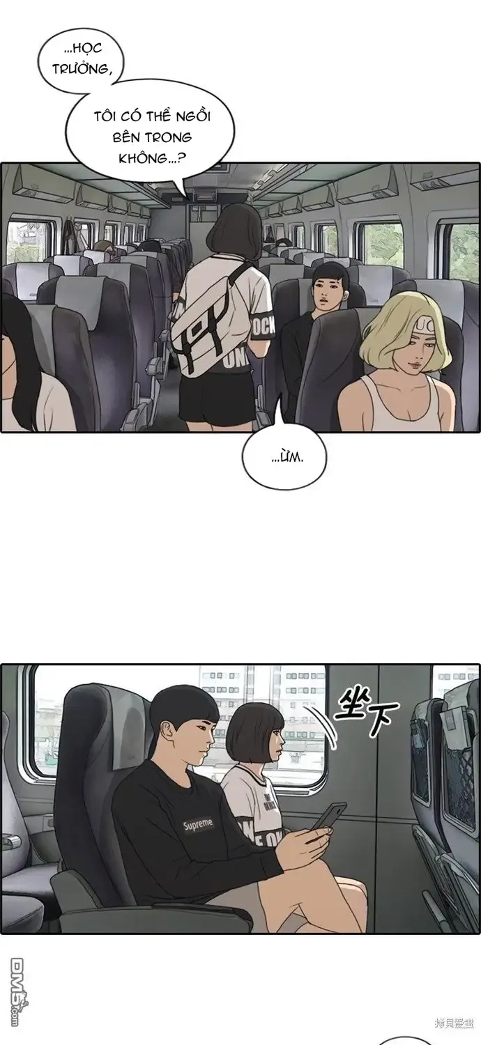 Chapter 234