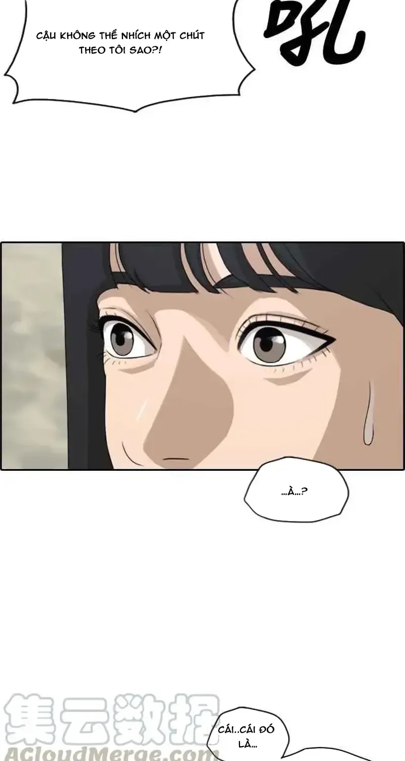 Chapter 235