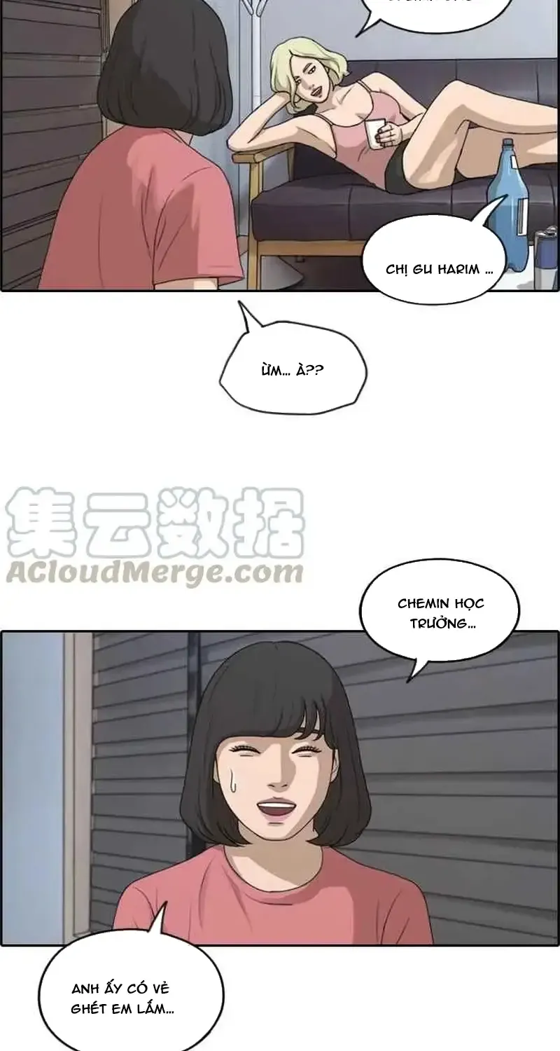 Chapter 236