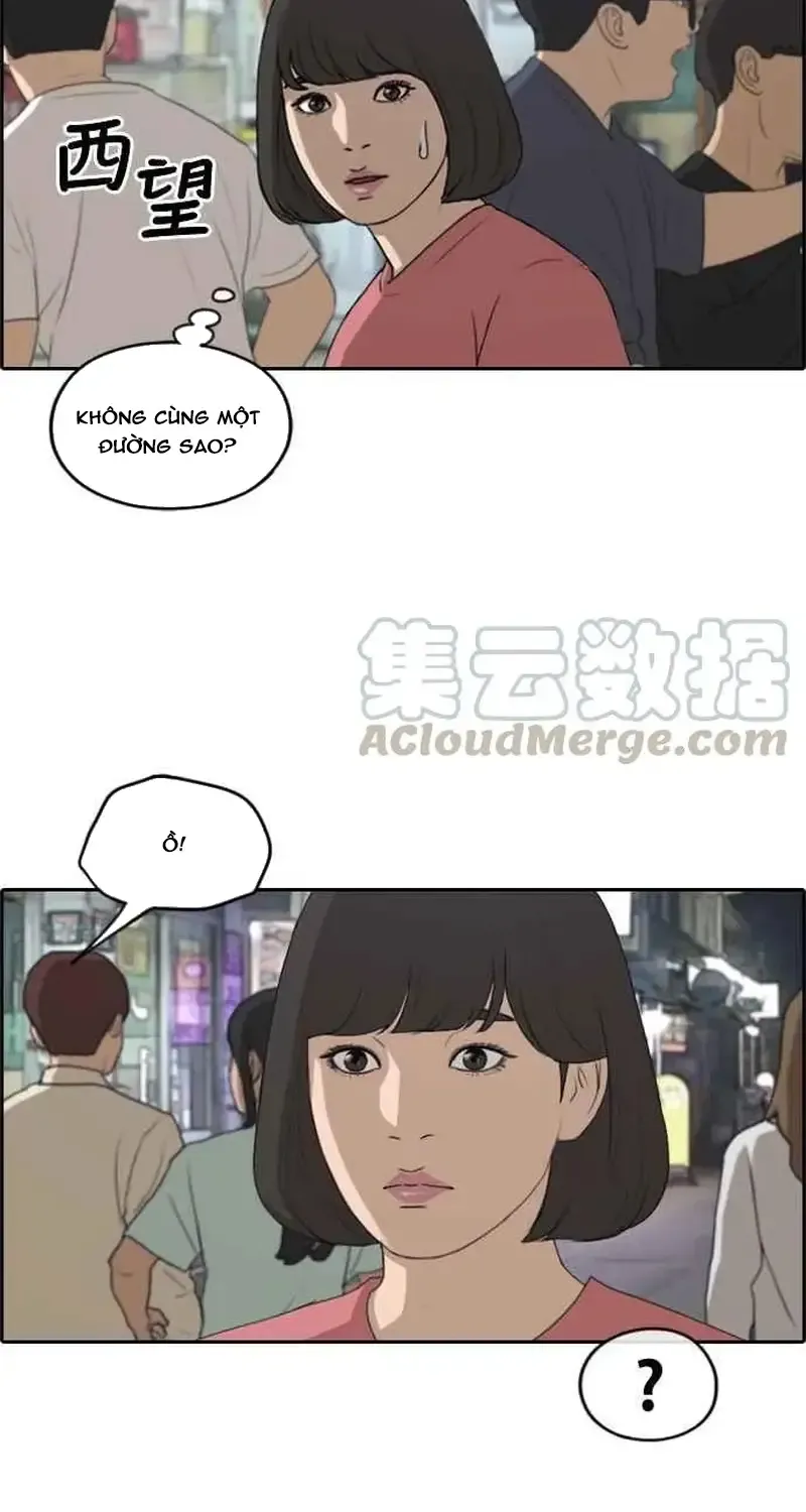 Chapter 236