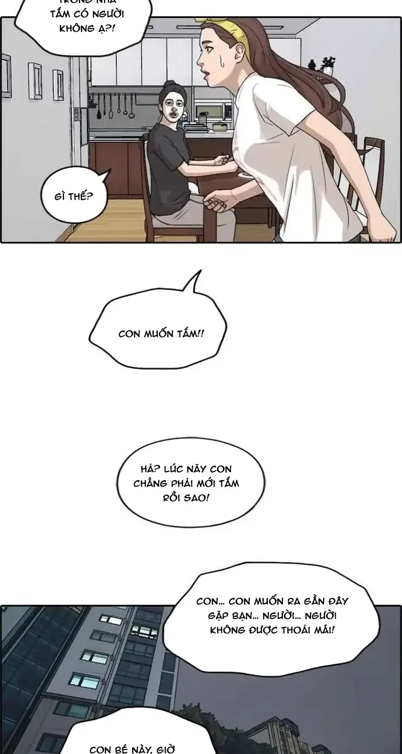 Chapter 239