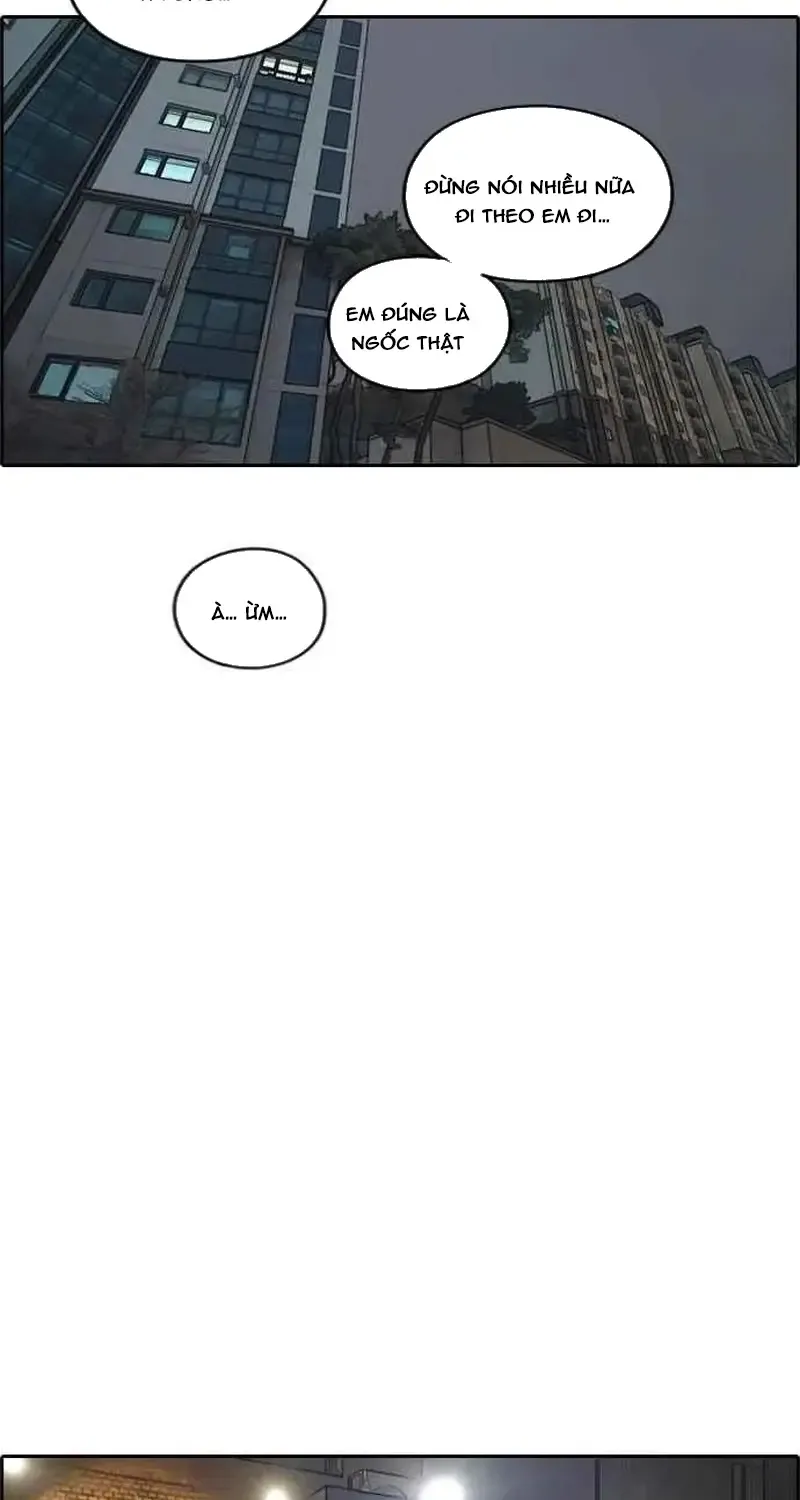 Chapter 239