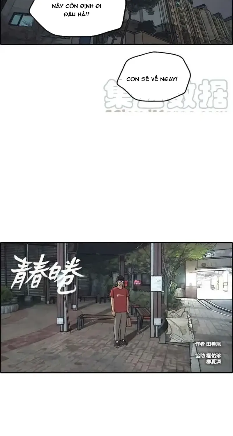Chapter 239