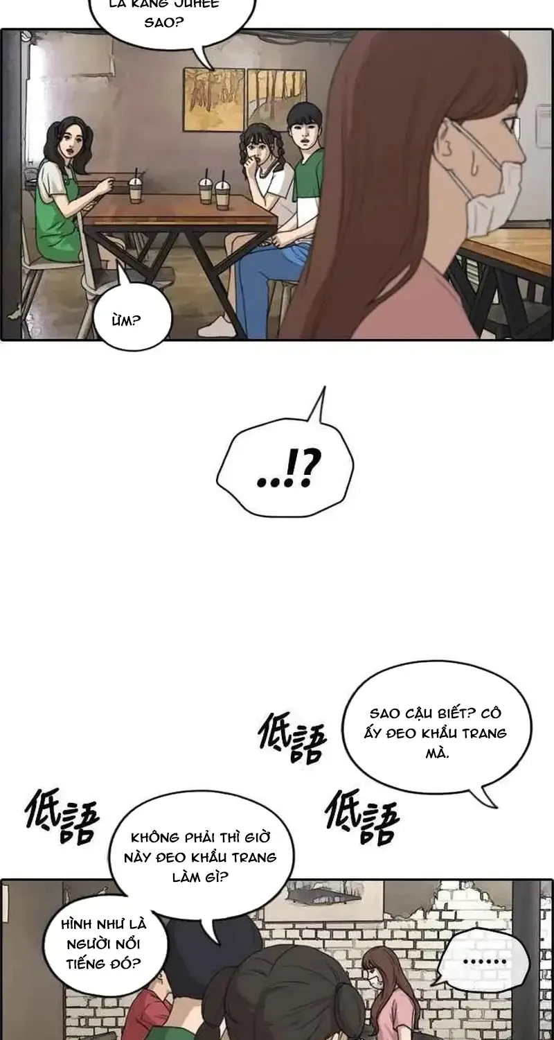 Chapter 239