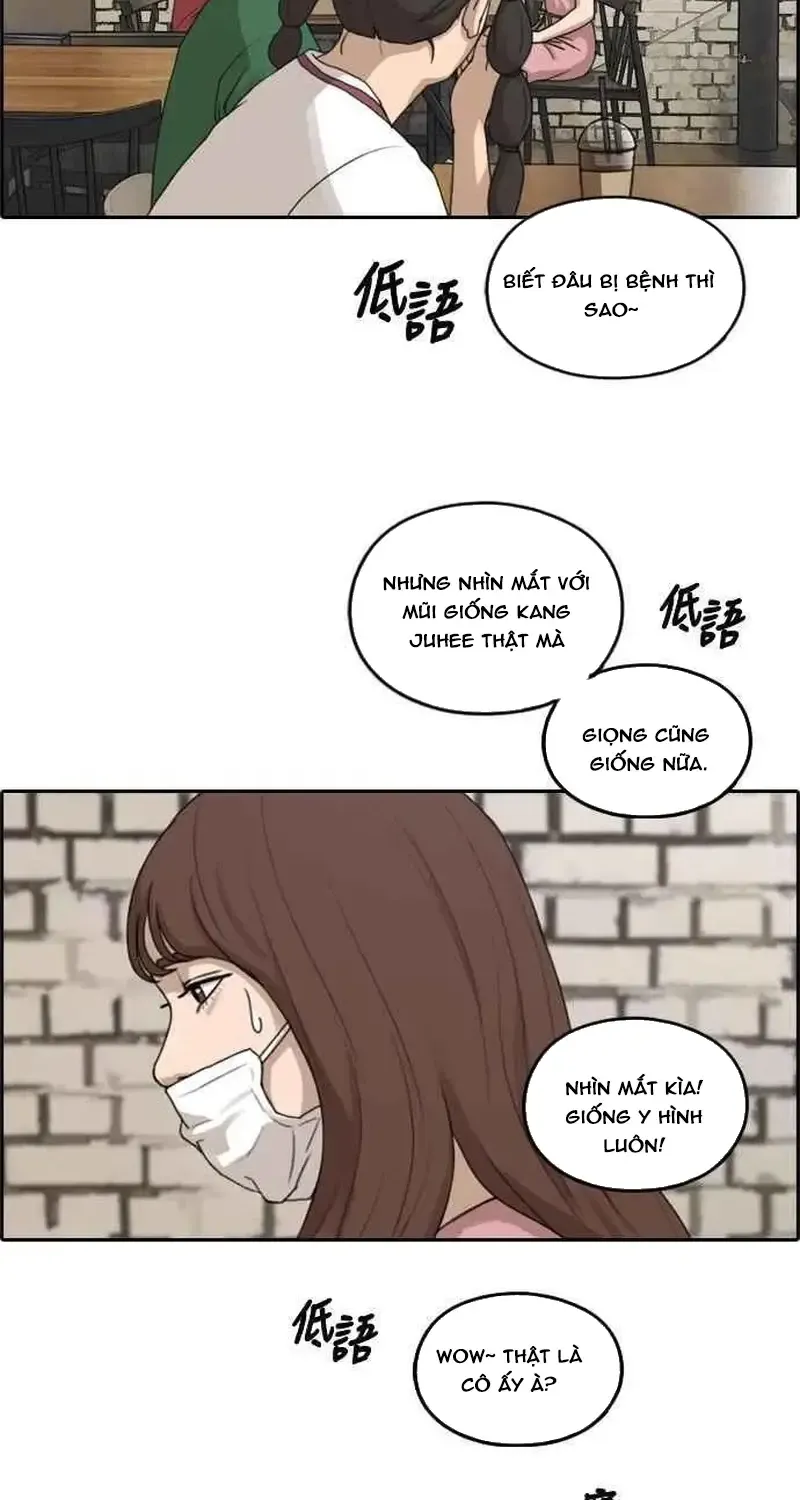 Chapter 239