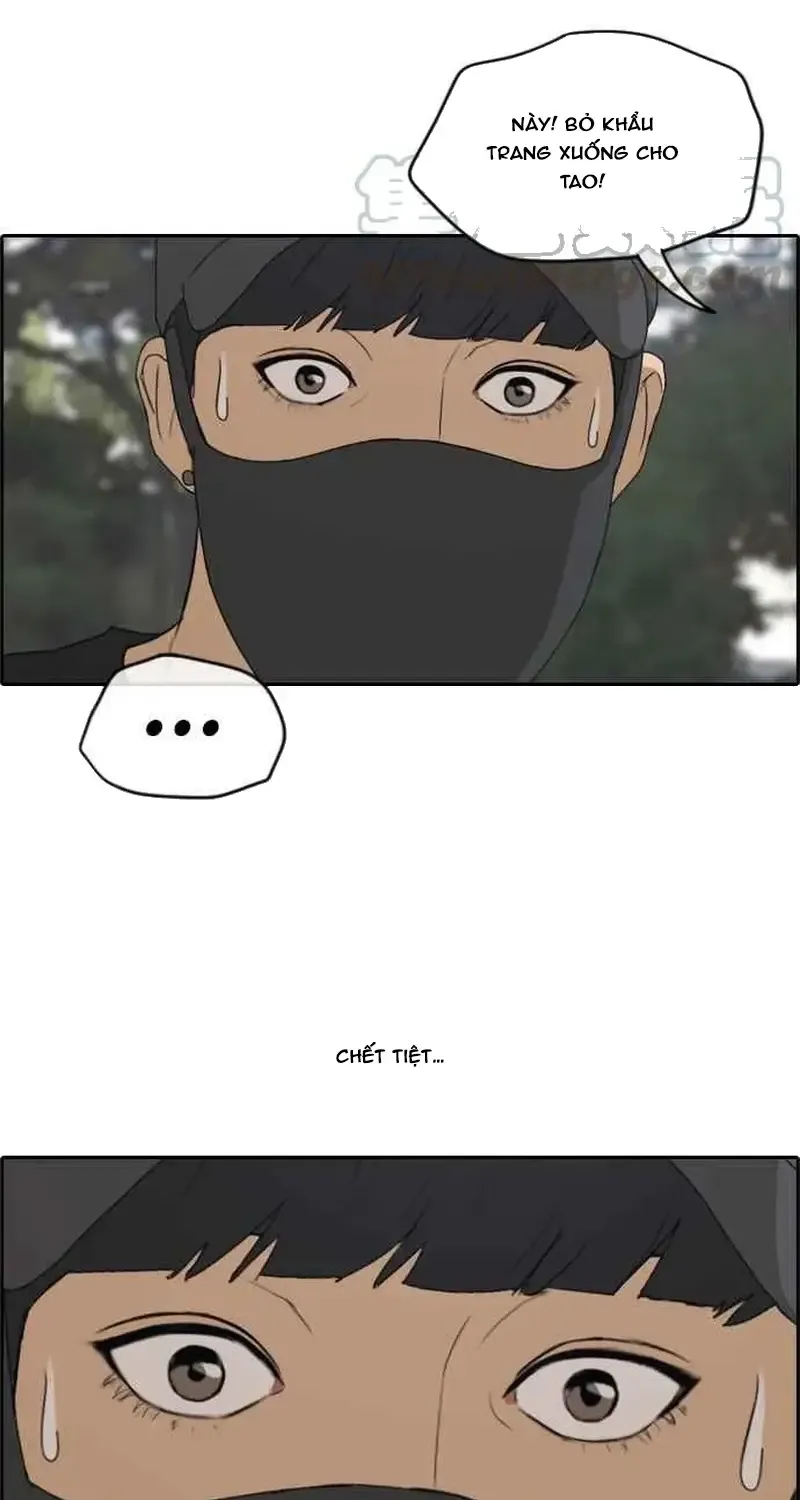 Chapter 241