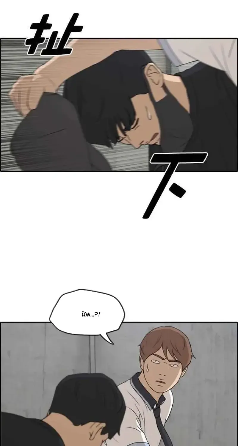 Chapter 241