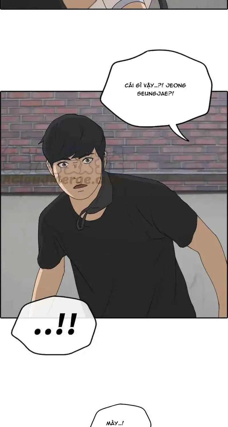 Chapter 241
