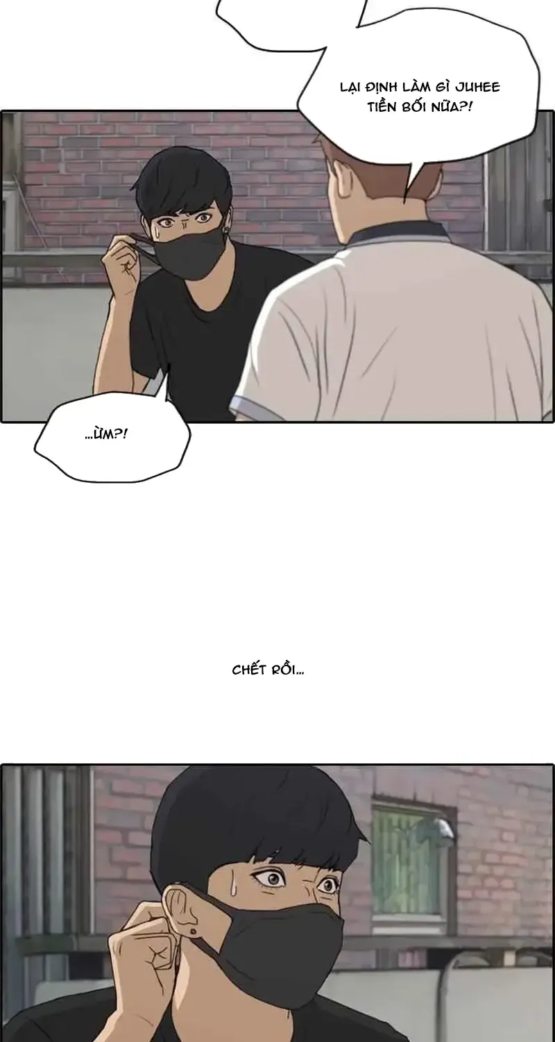 Chapter 241