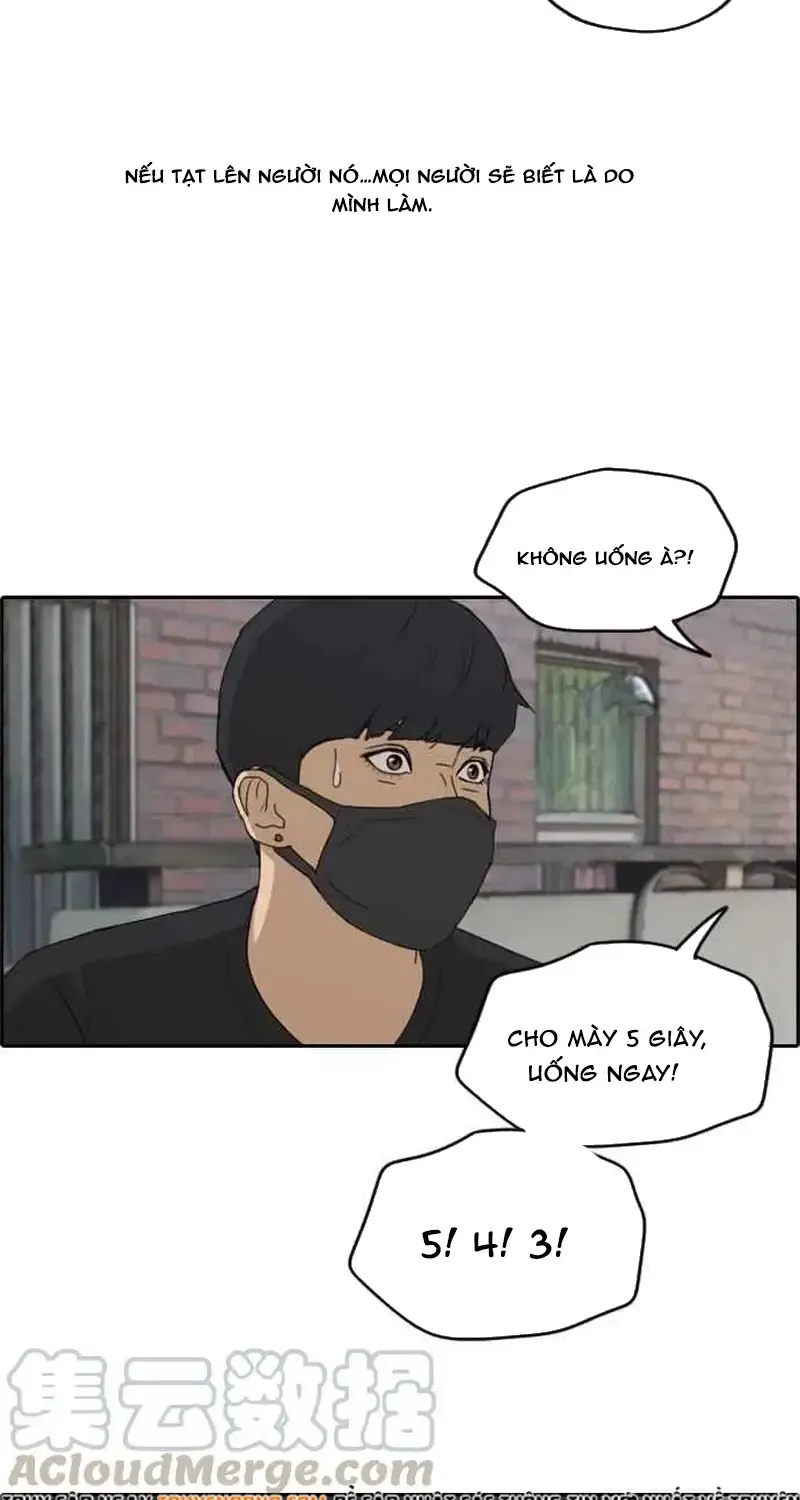Chapter 241