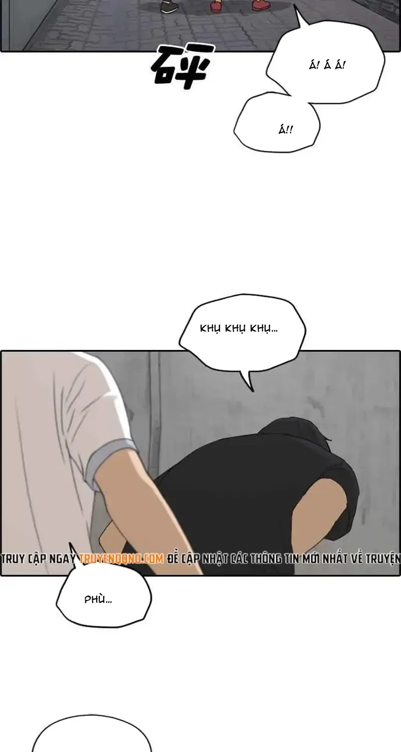 Chapter 241