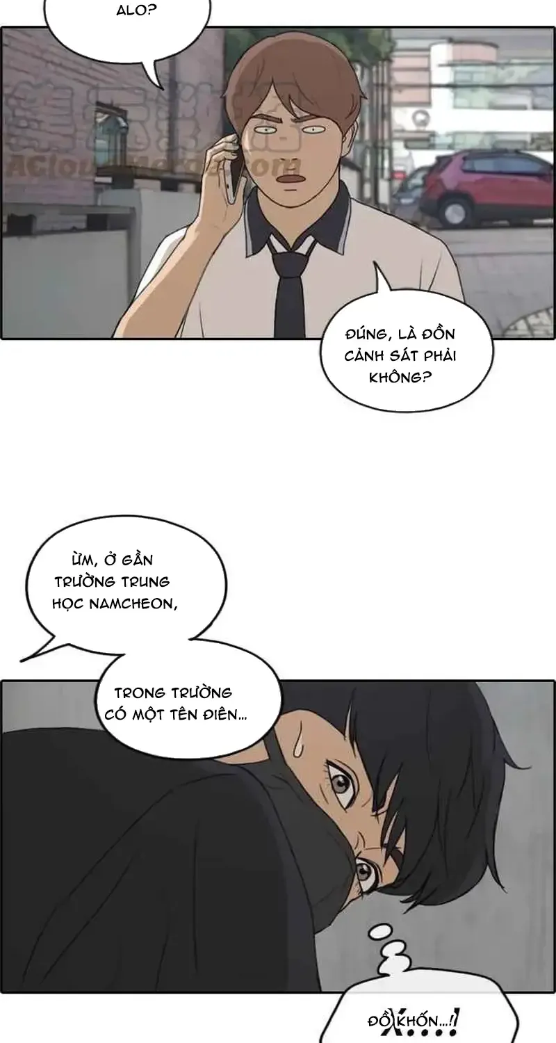 Chapter 241