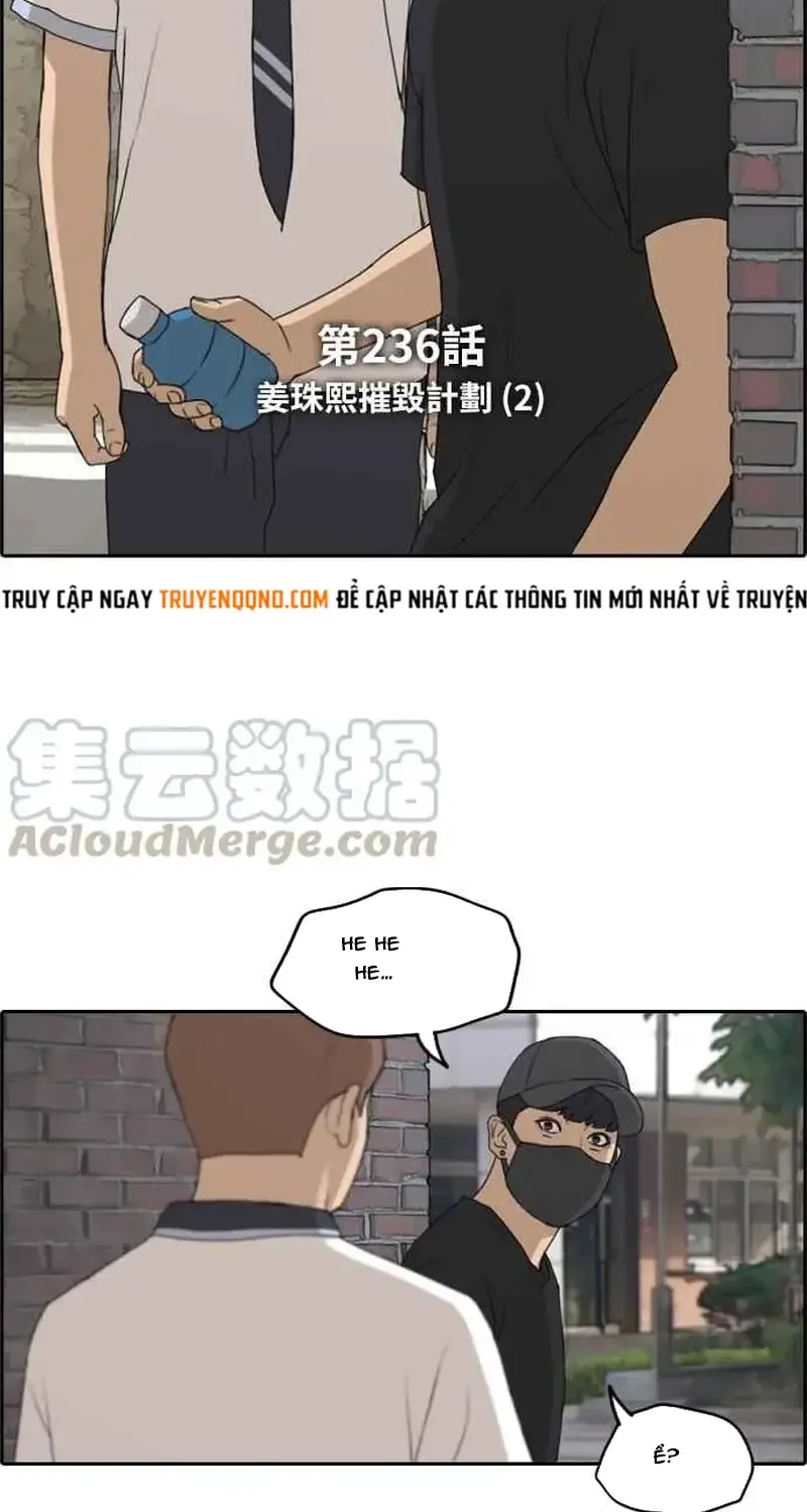 Chapter 241
