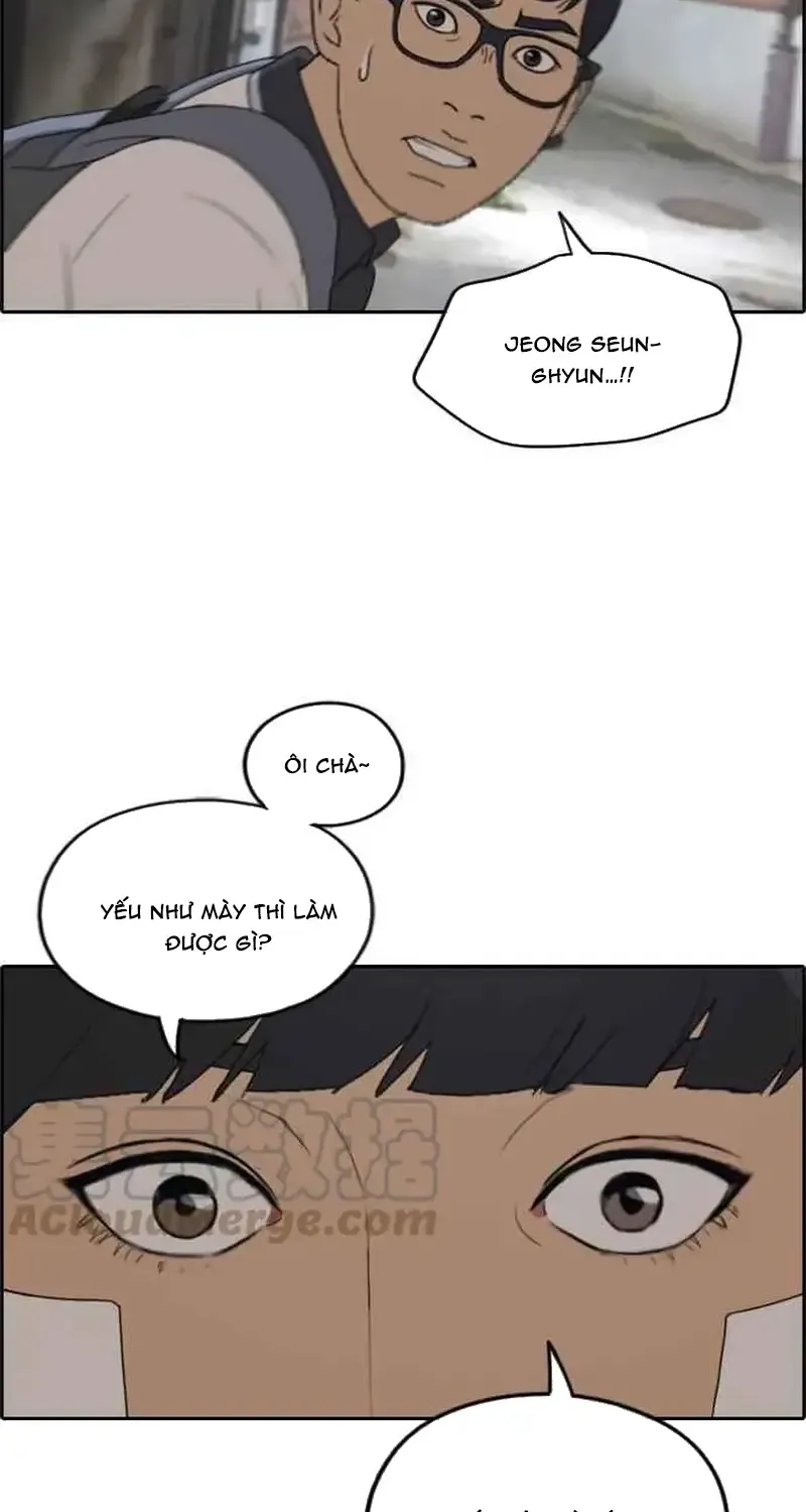 Chapter 244