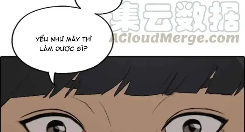 Chapter 245