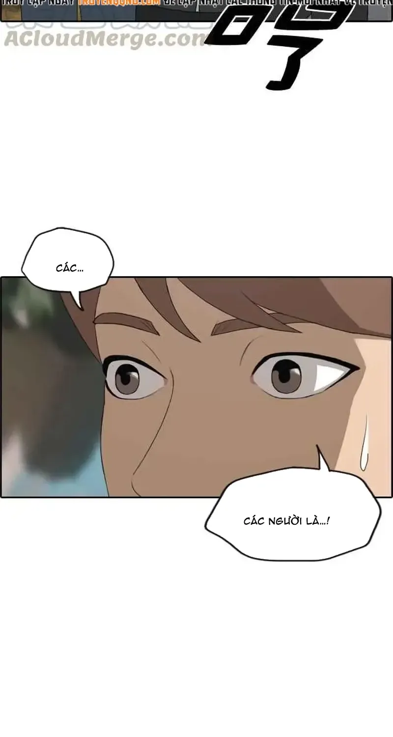 Chapter 246