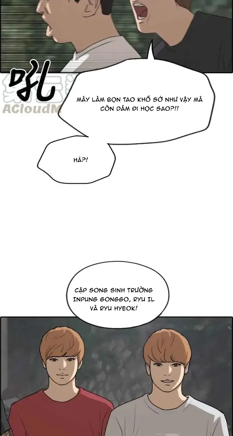 Chapter 246