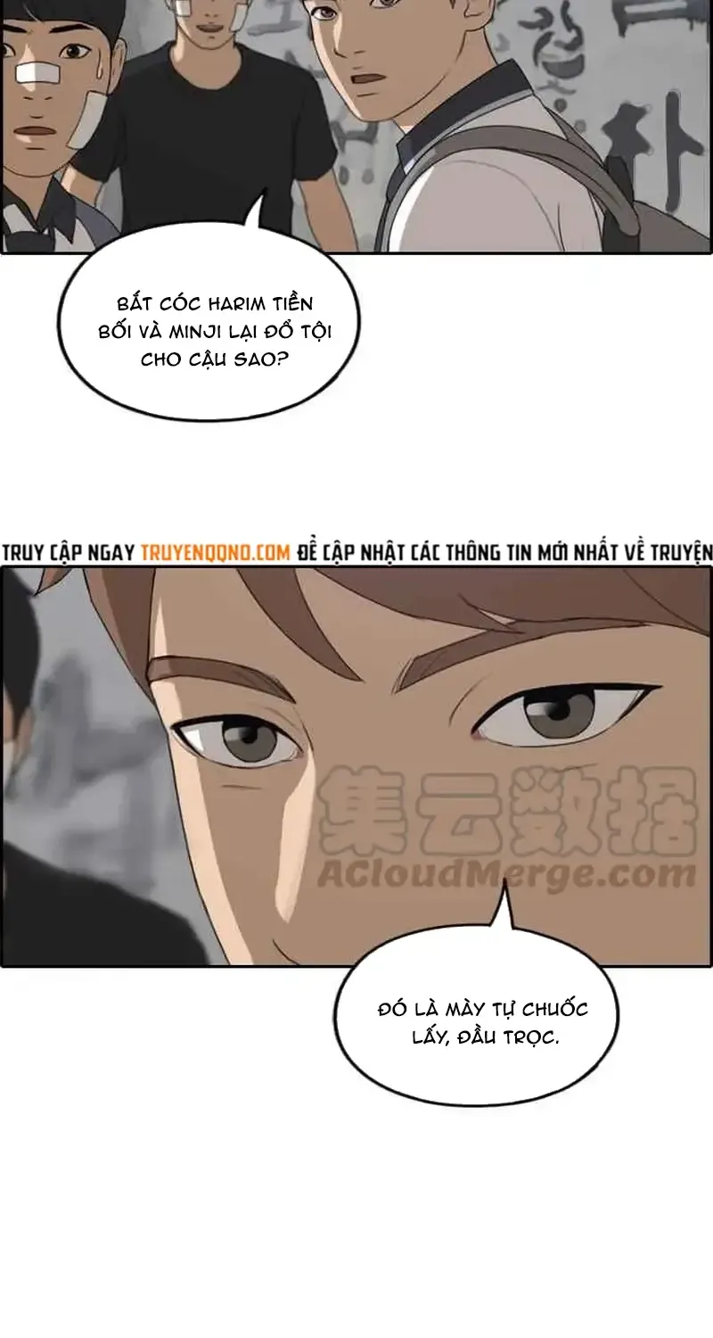 Chapter 246