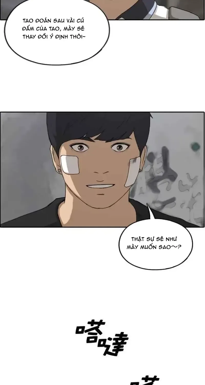 Chapter 246