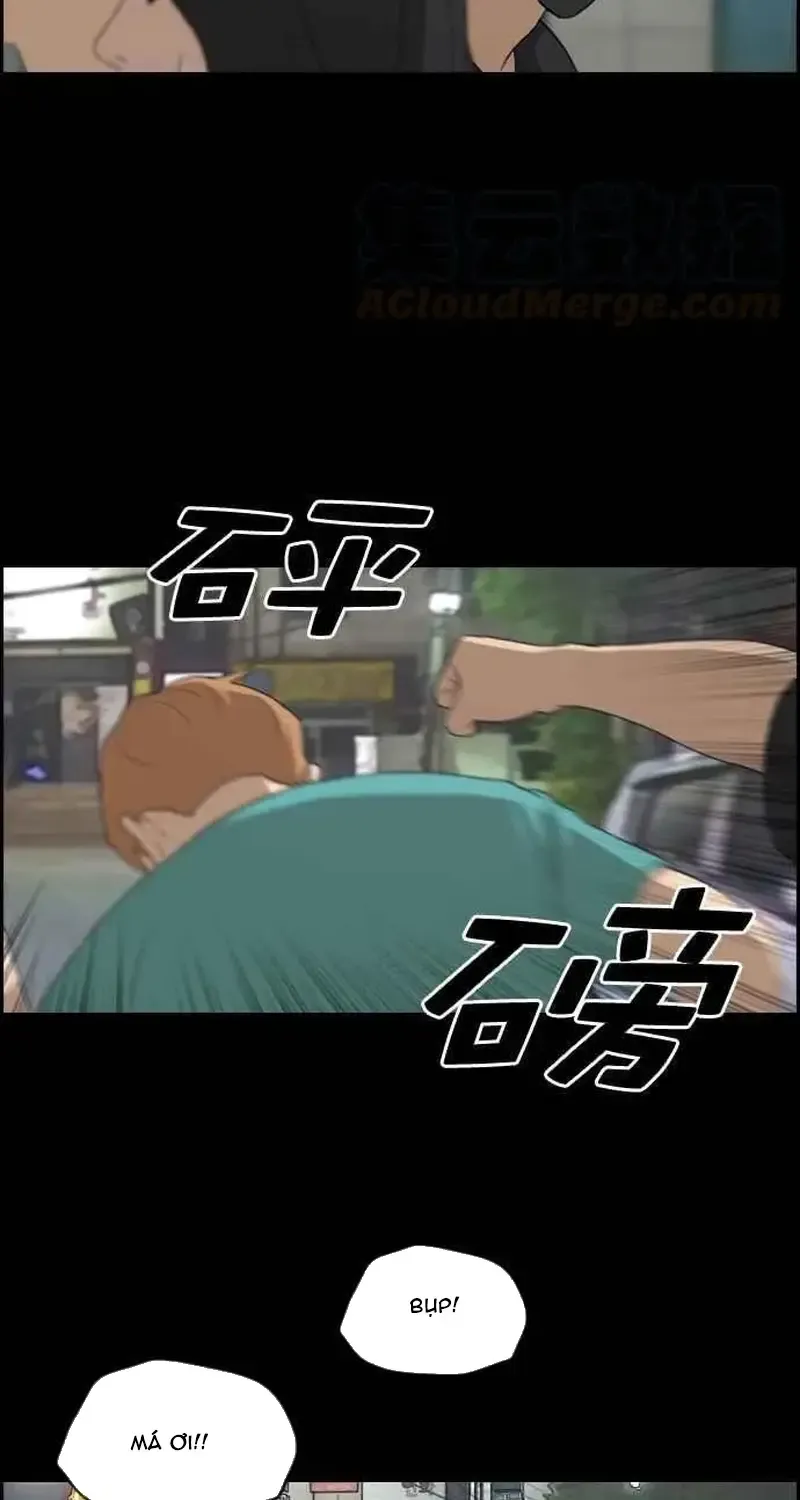 Chapter 246