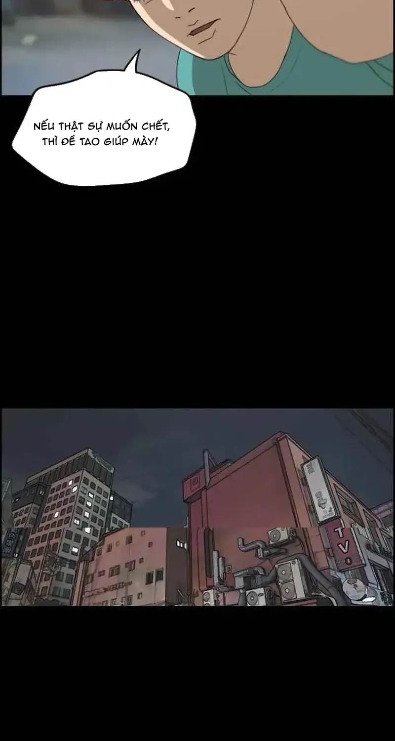 Chapter 246