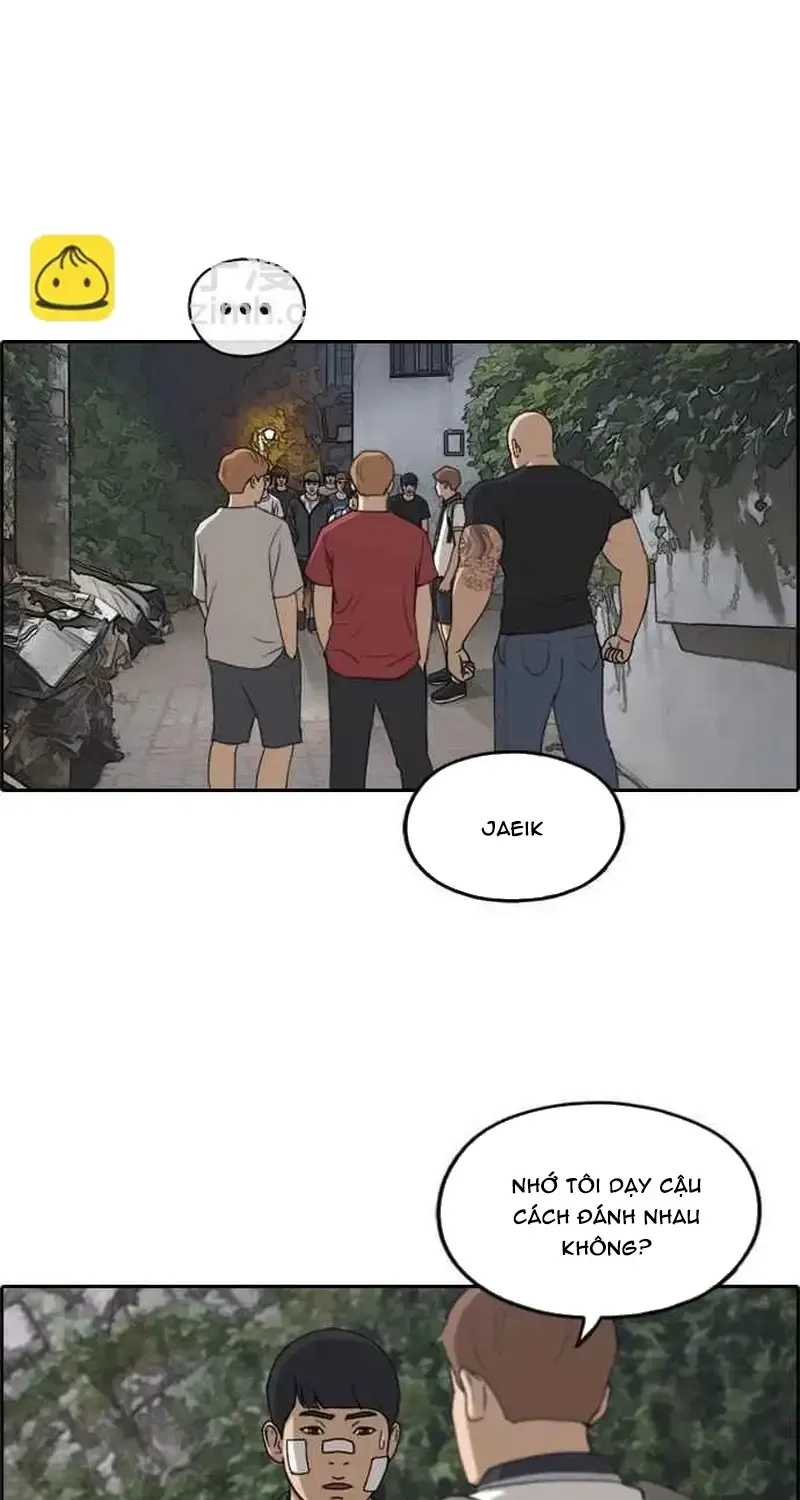 Chapter 246