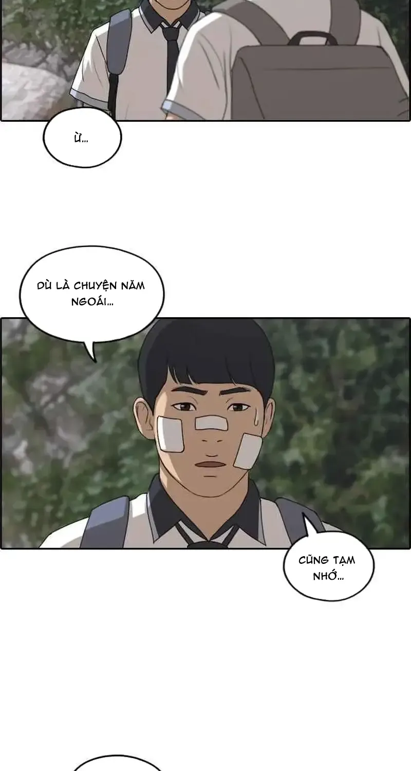 Chapter 246
