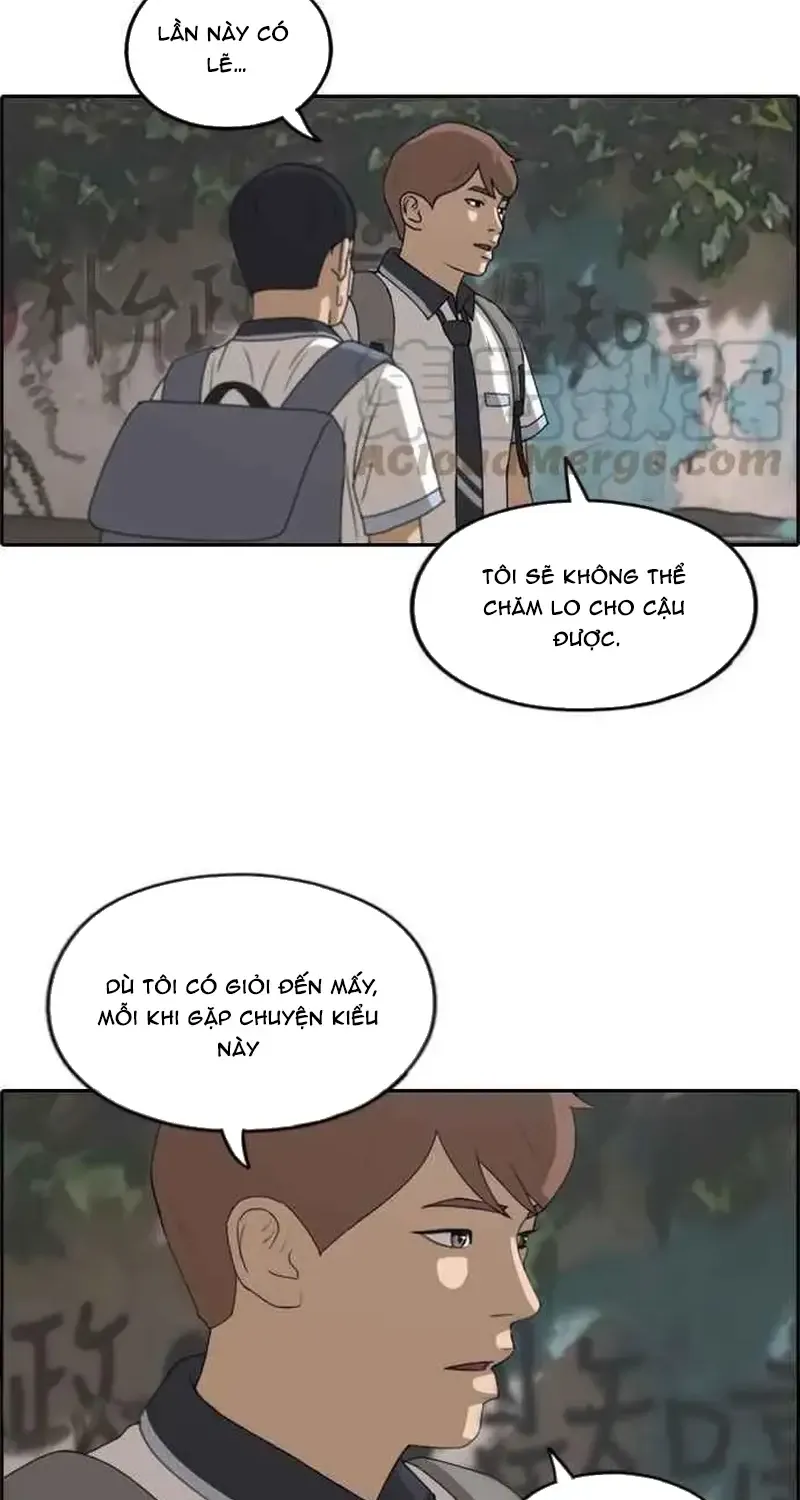 Chapter 246
