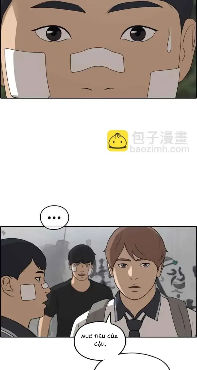 Chapter 246