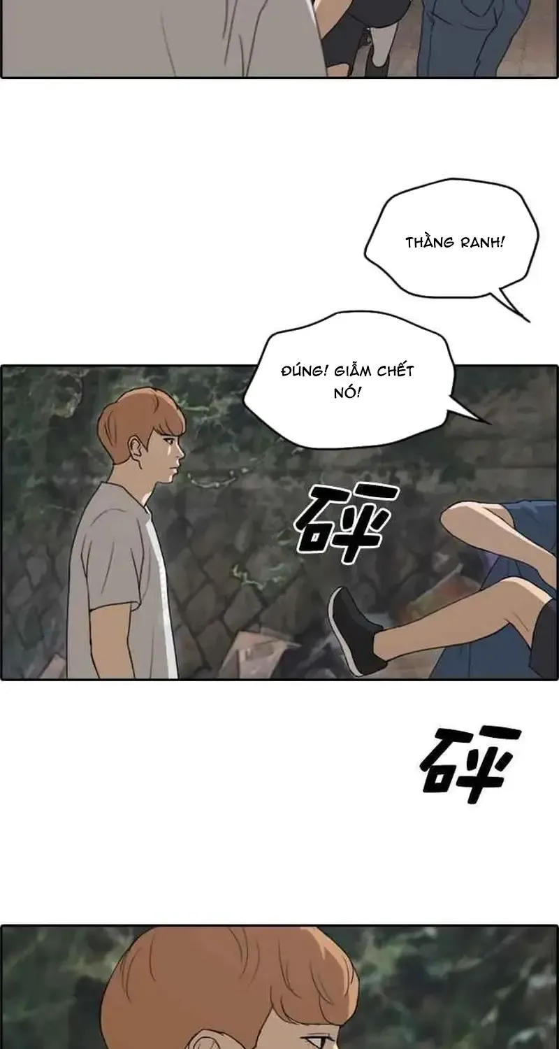 Chapter 247
