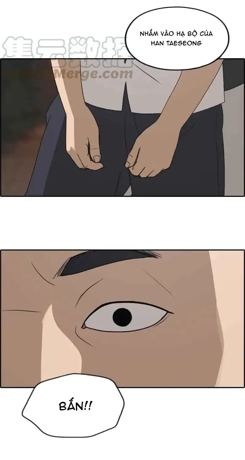 Chapter 247