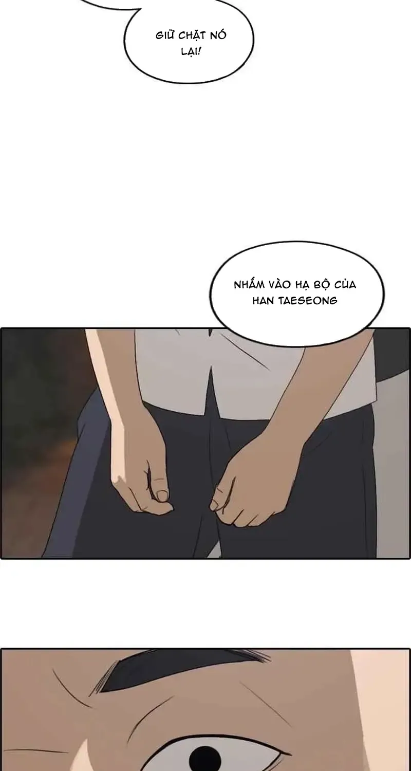 Chapter 248
