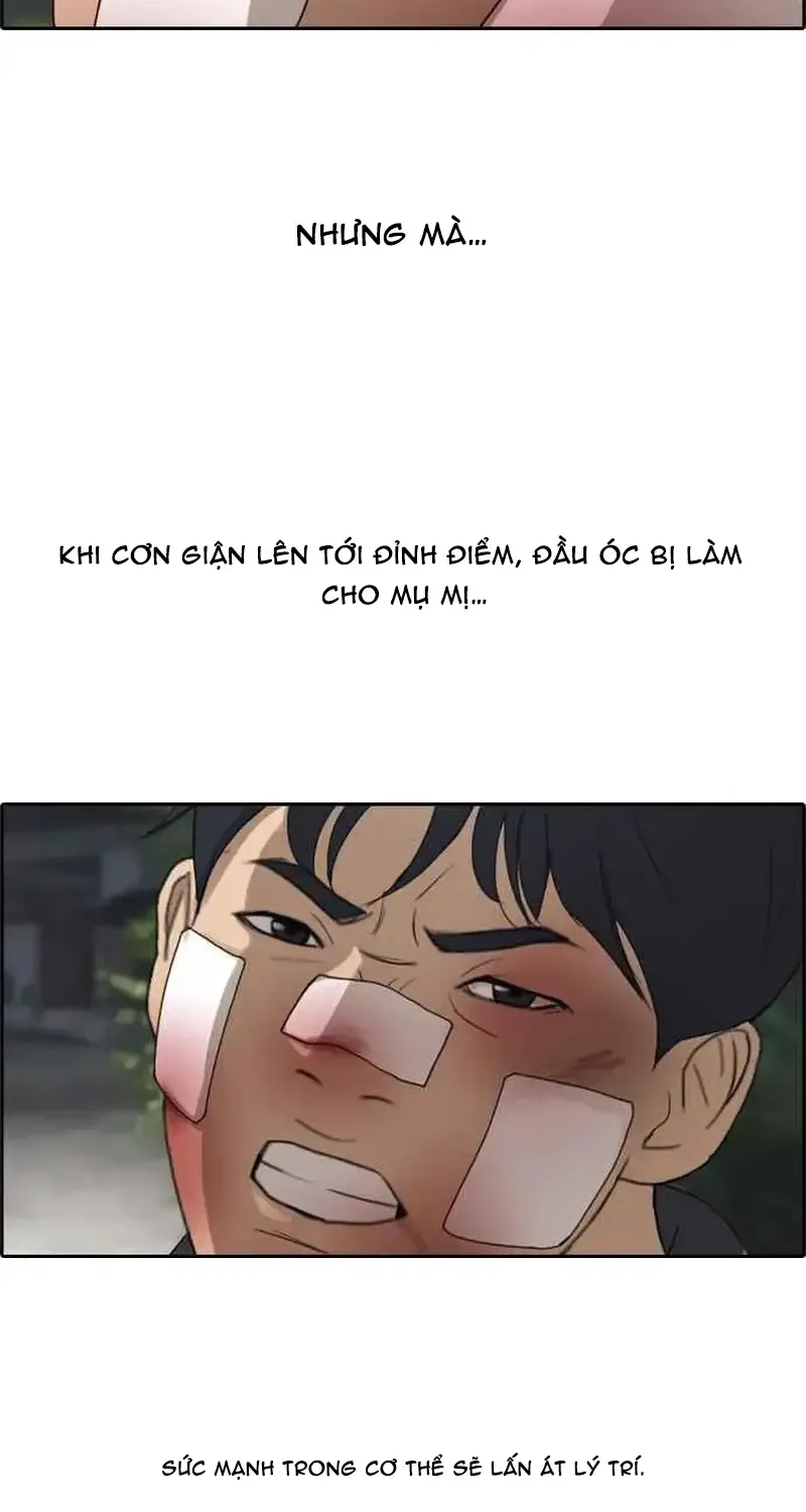 Chapter 248