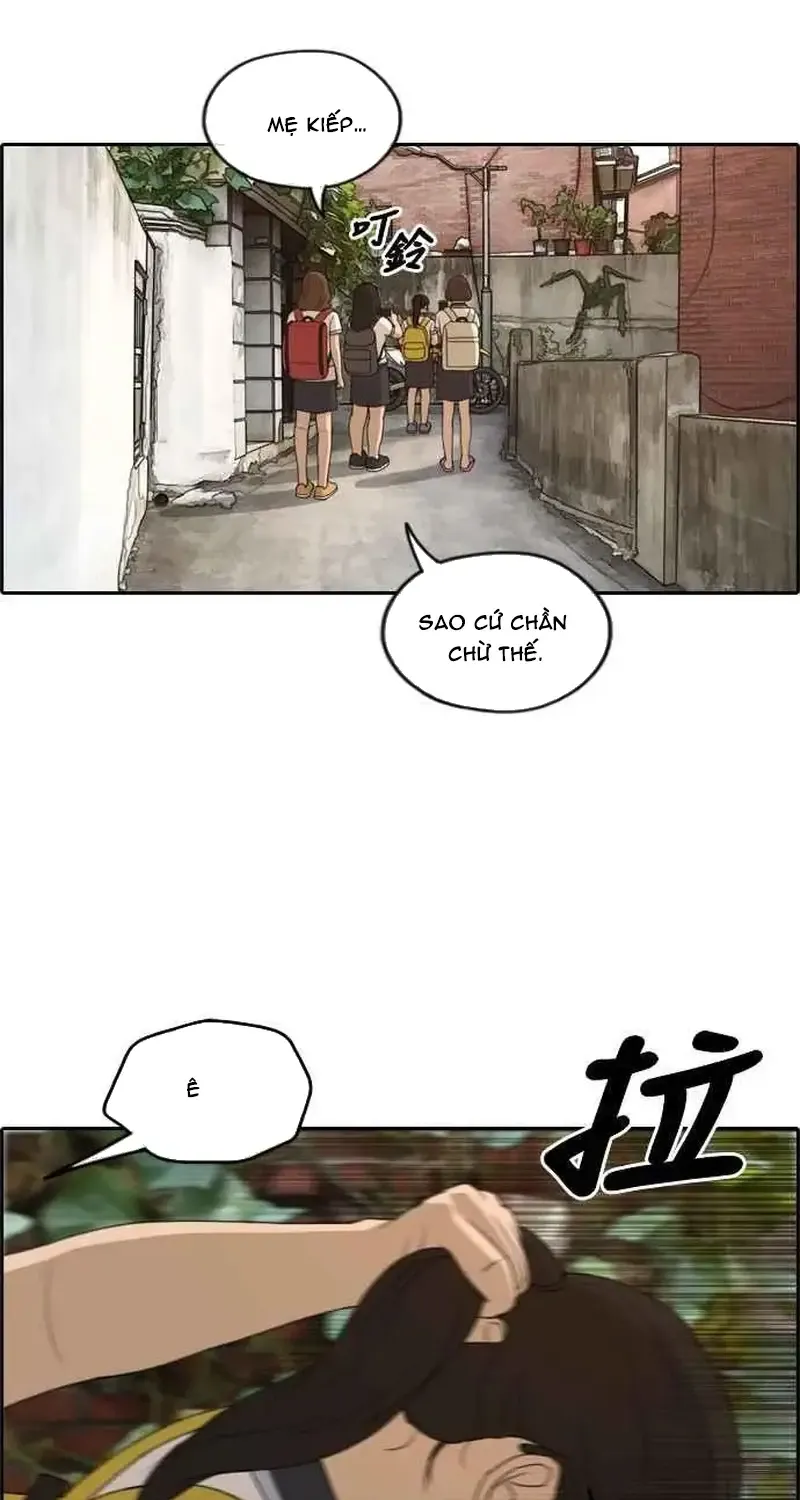 Chapter 252