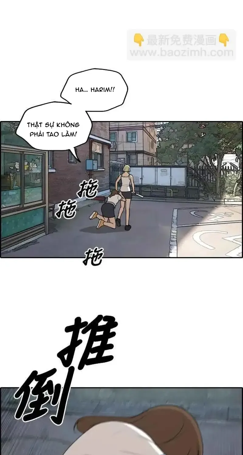 Chapter 253