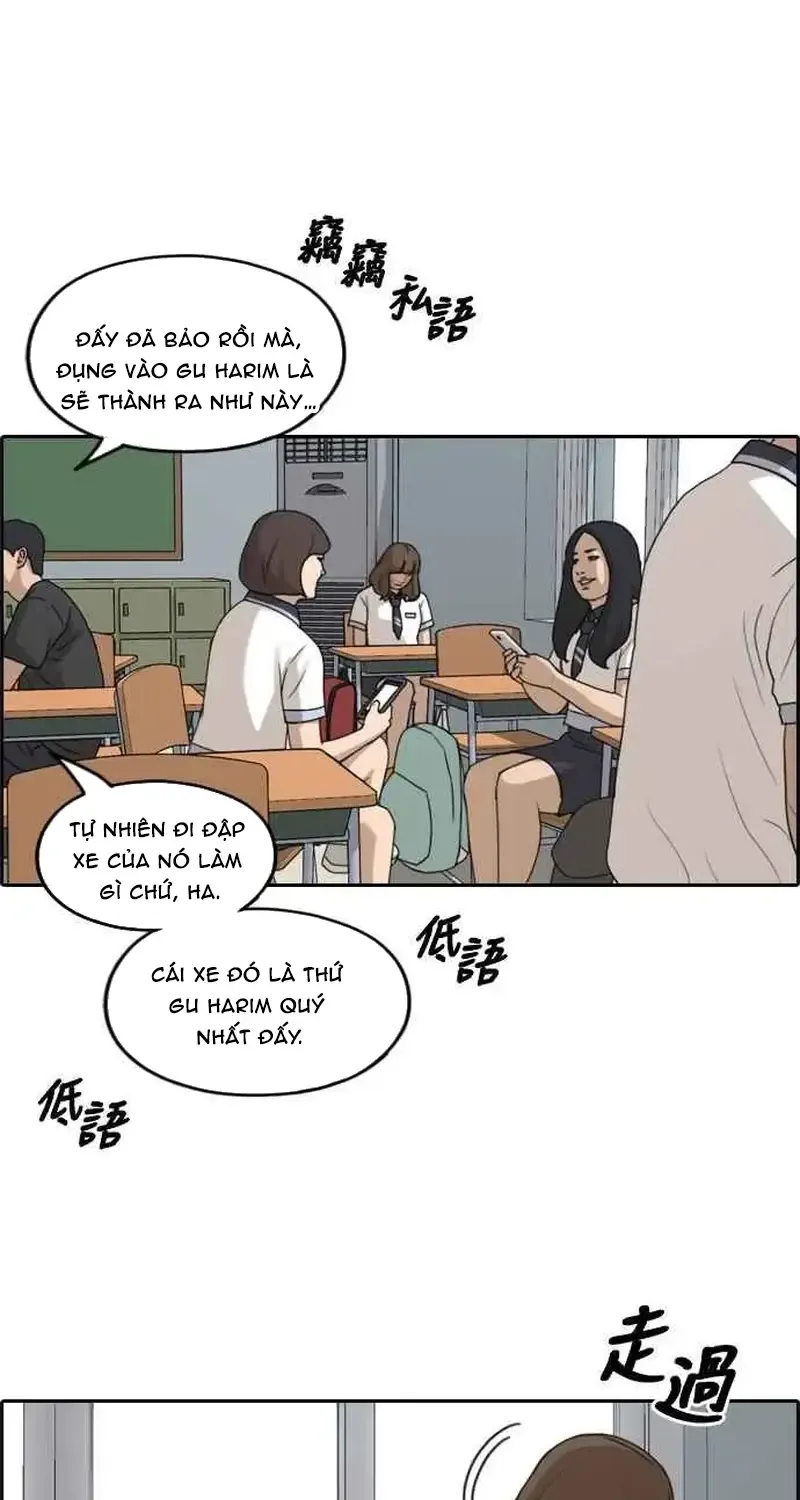 Chapter 253