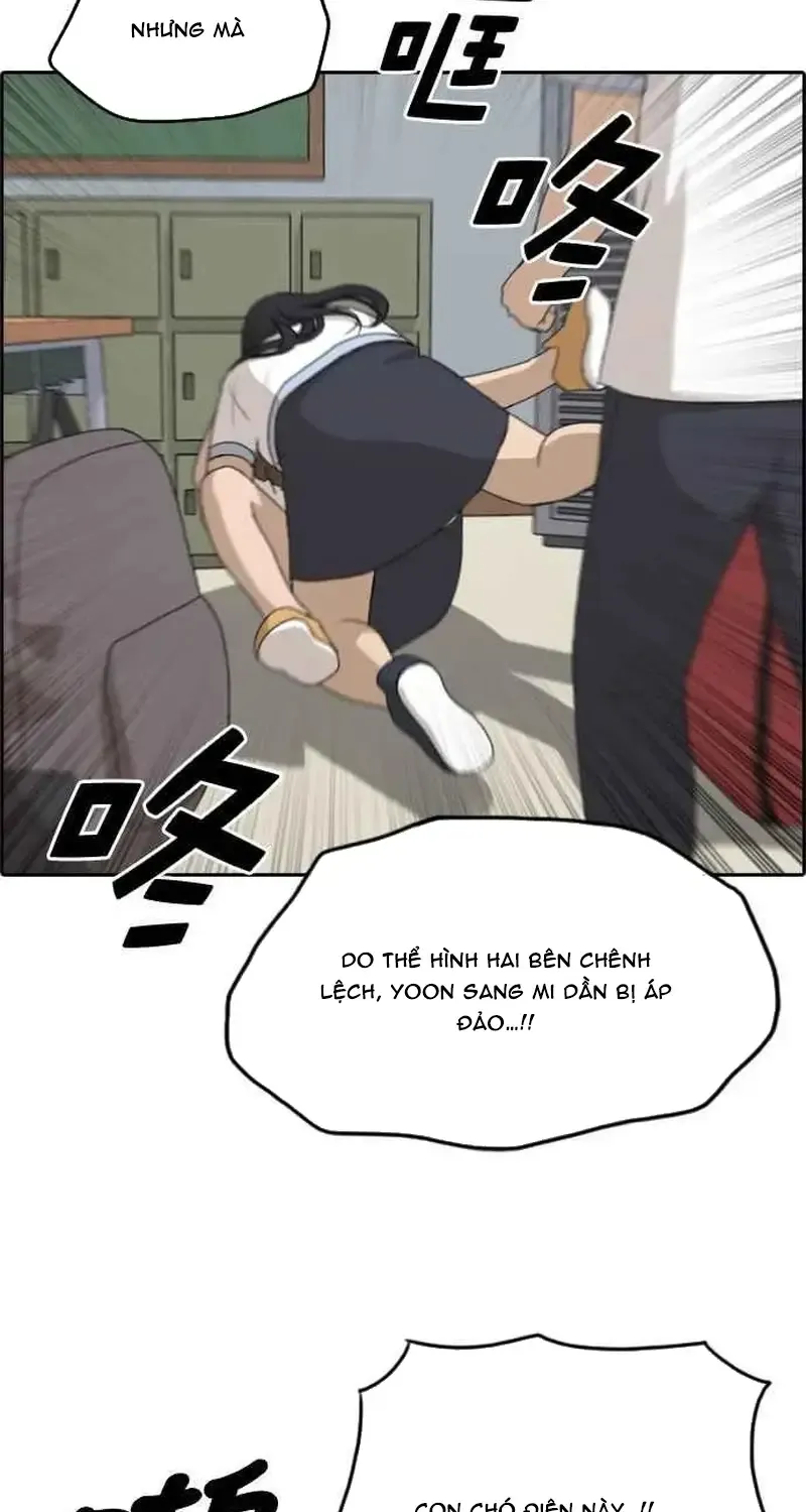 Chapter 254