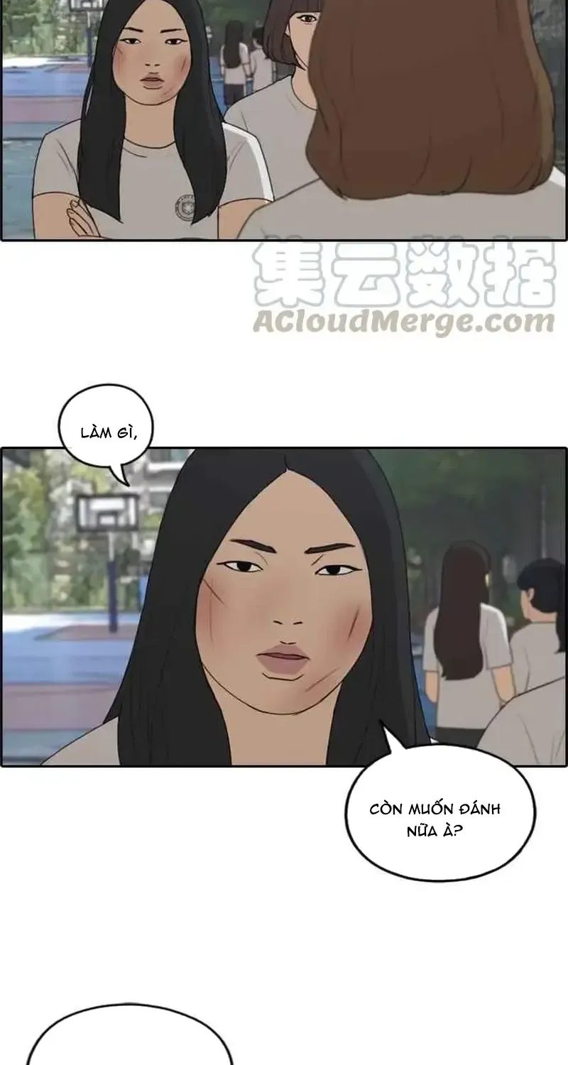Chapter 254