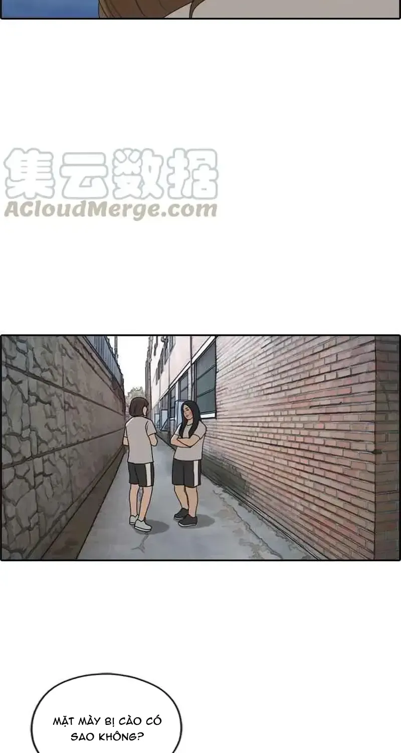 Chapter 254