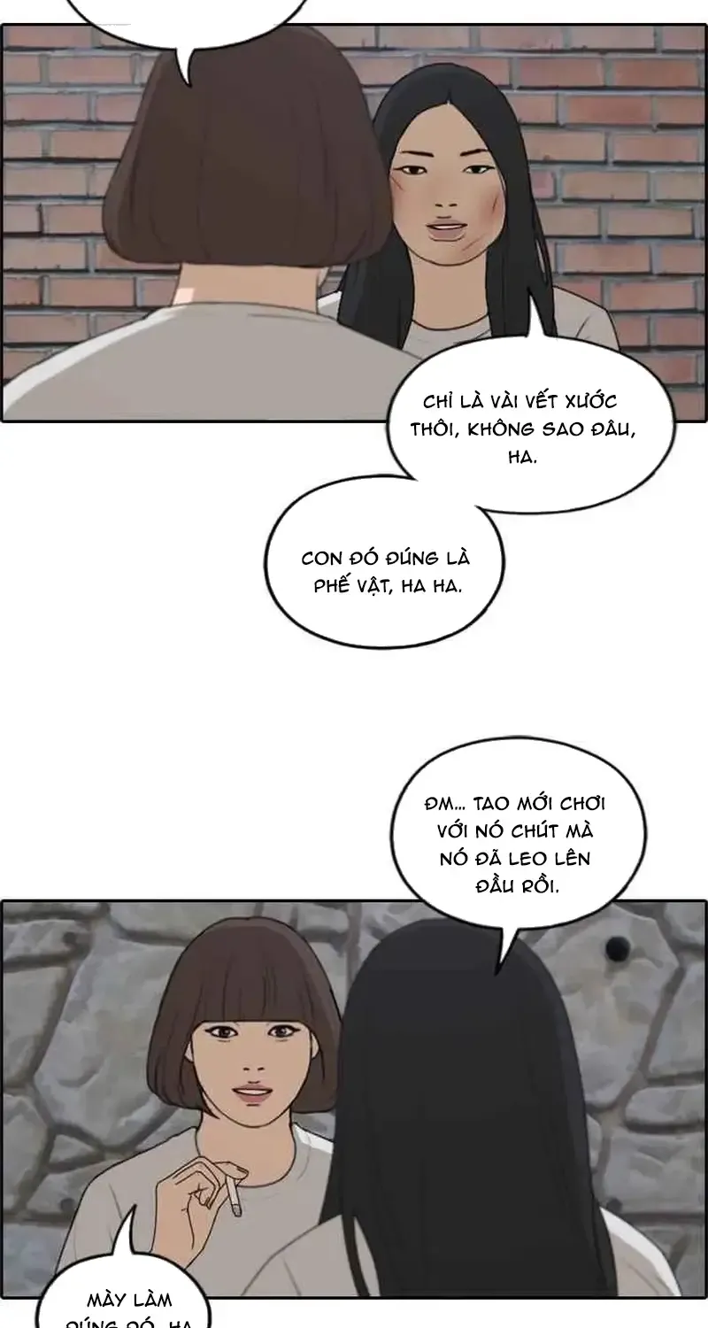 Chapter 254
