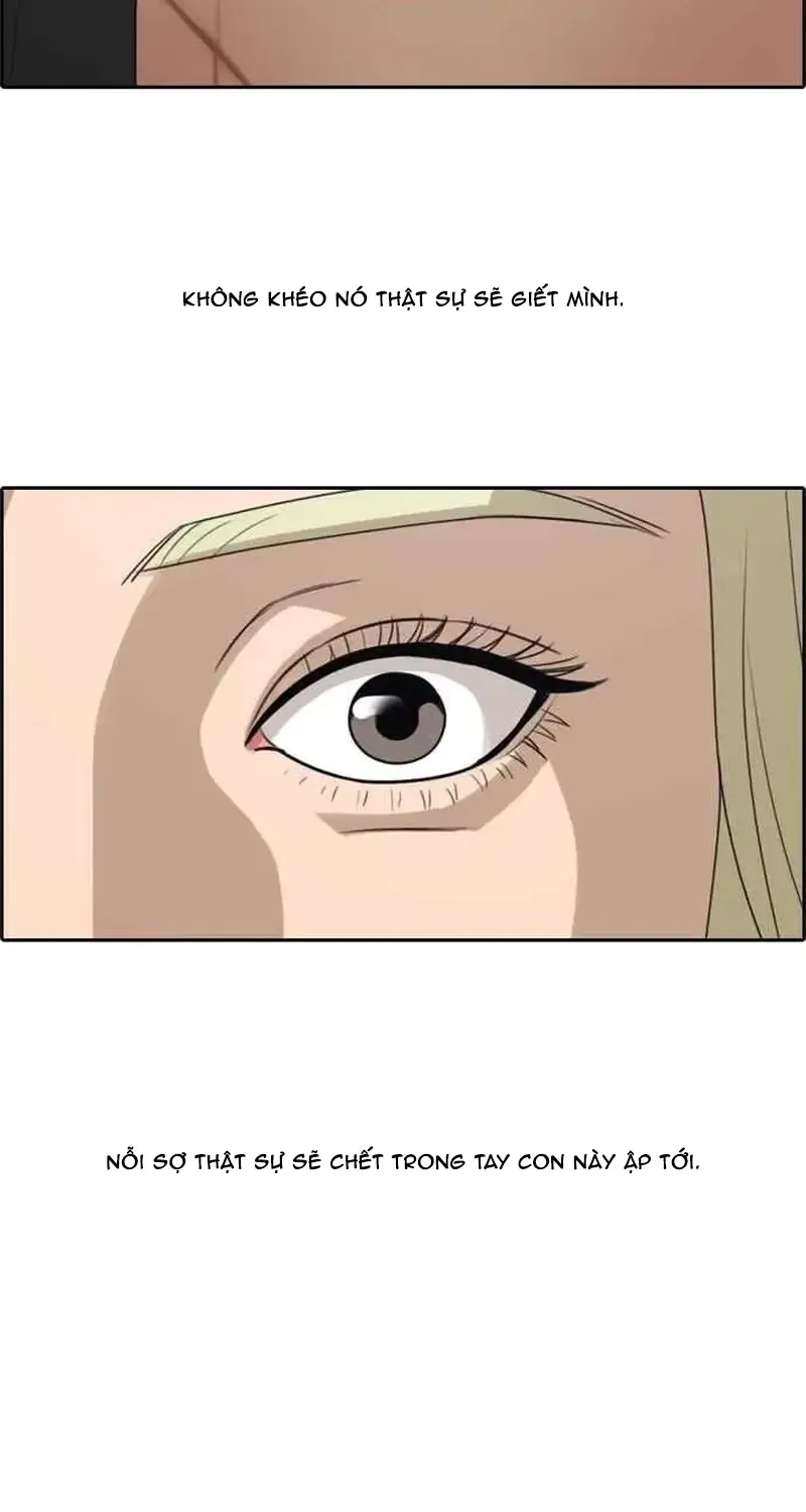 Chapter 255