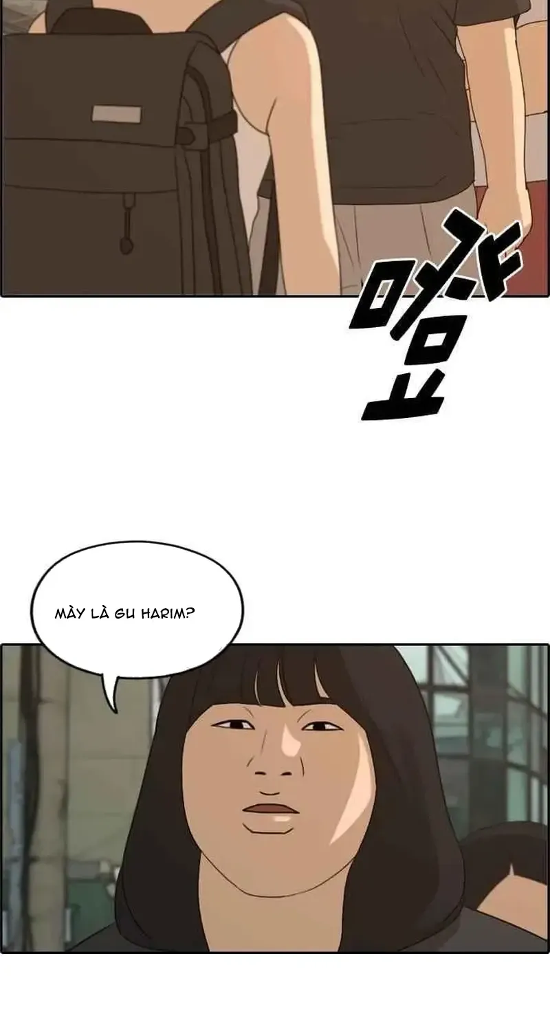 Chapter 255