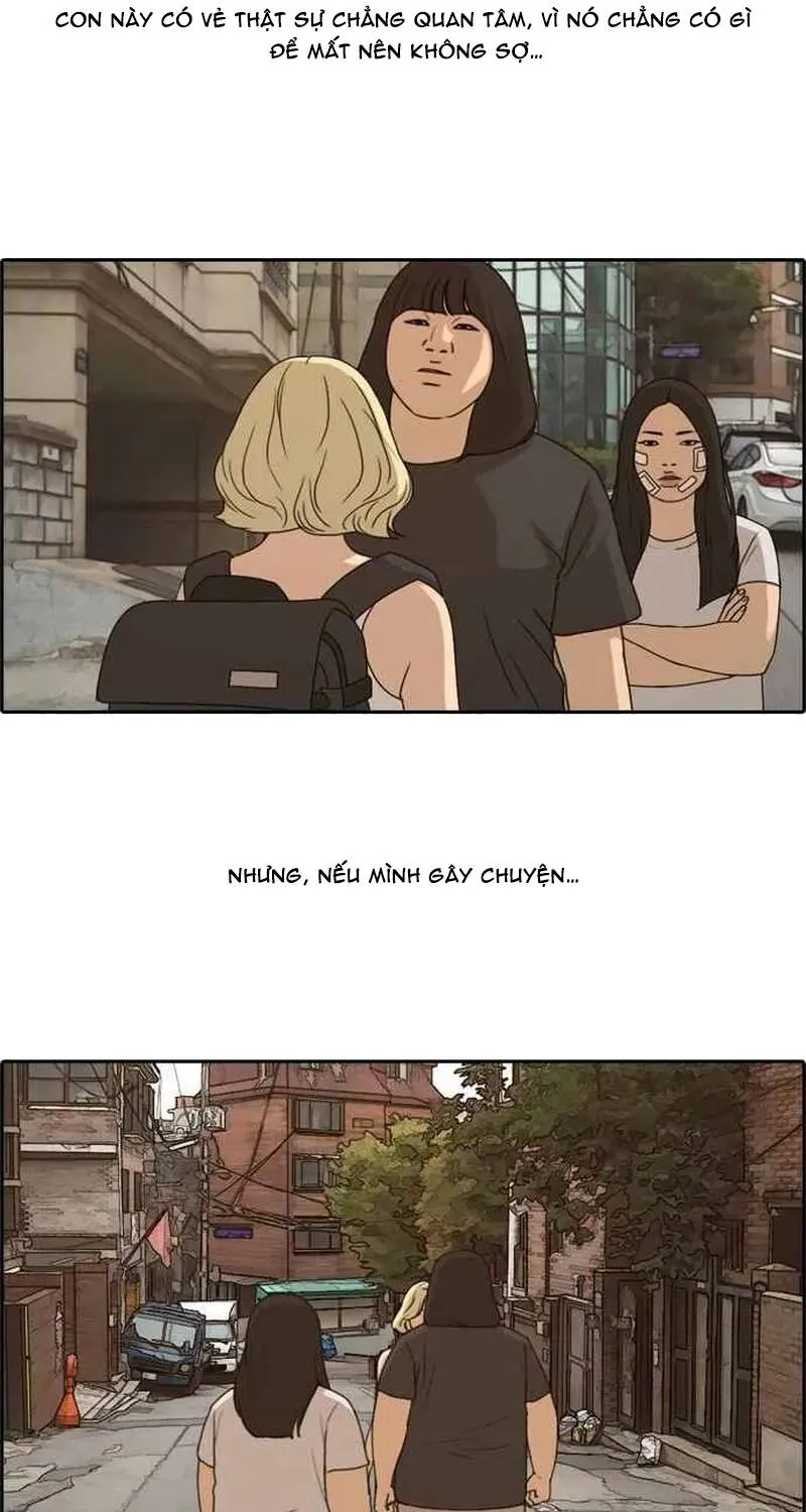 Chapter 256